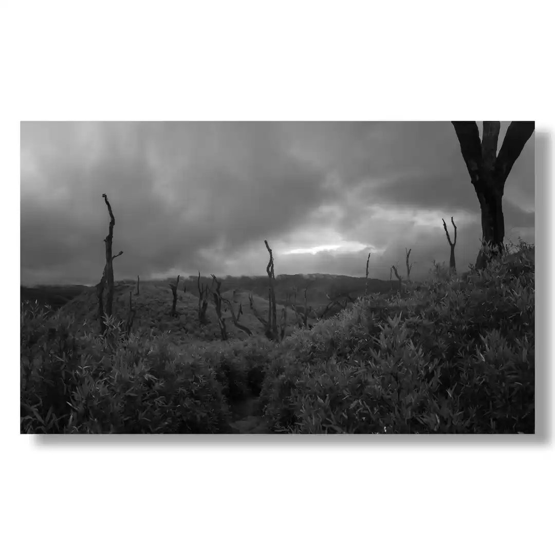 Photo of In a valley far far 