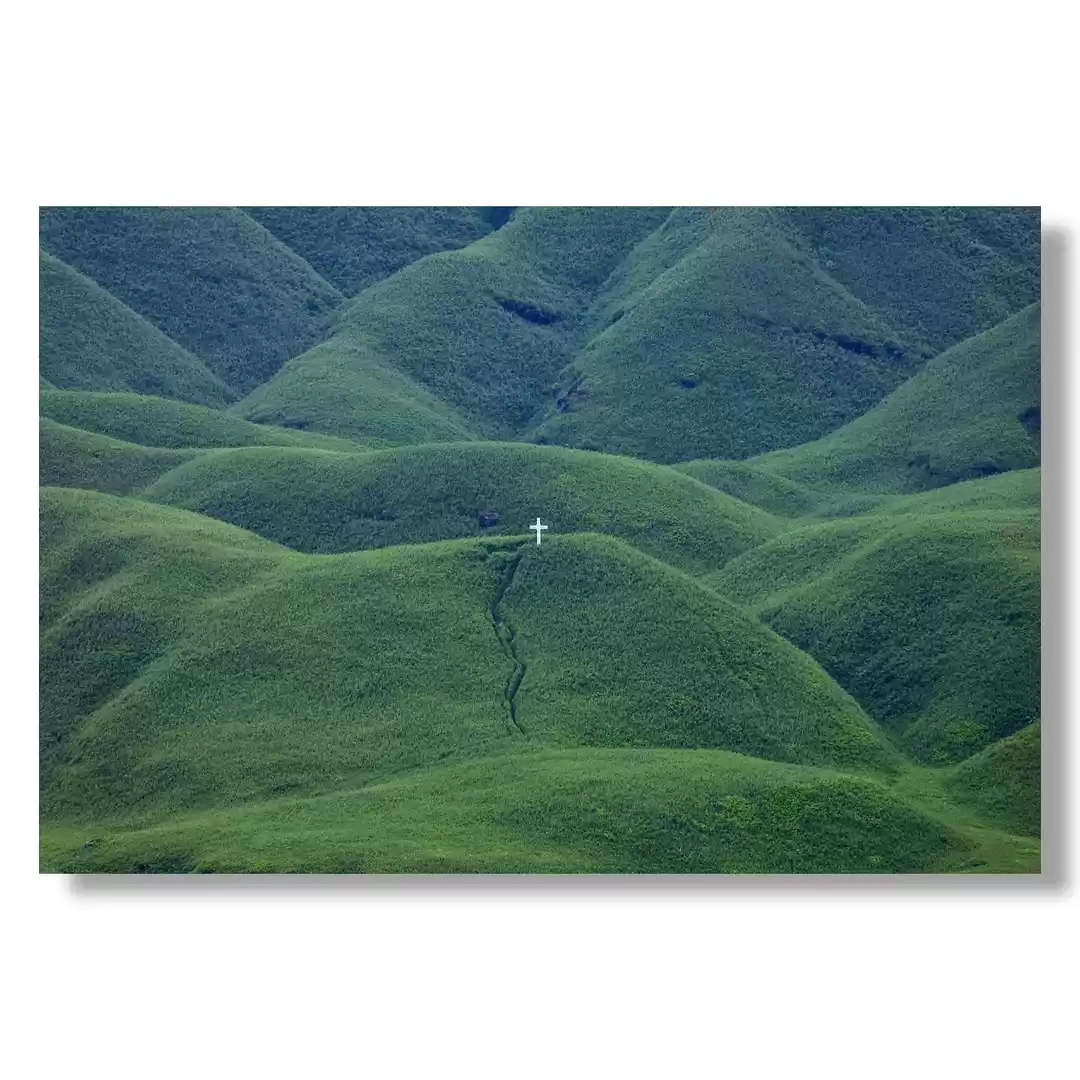 Photo of Dzukou Valley - in 7