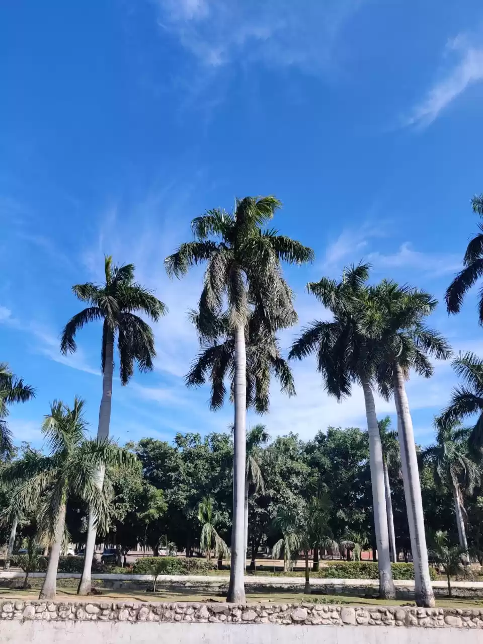 Photo of A day in the city be