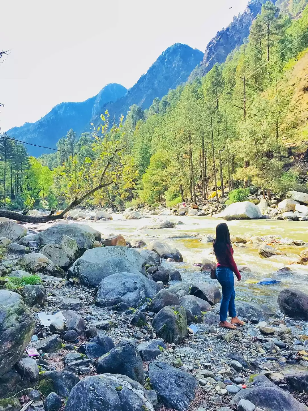 Photo of How and where to tra