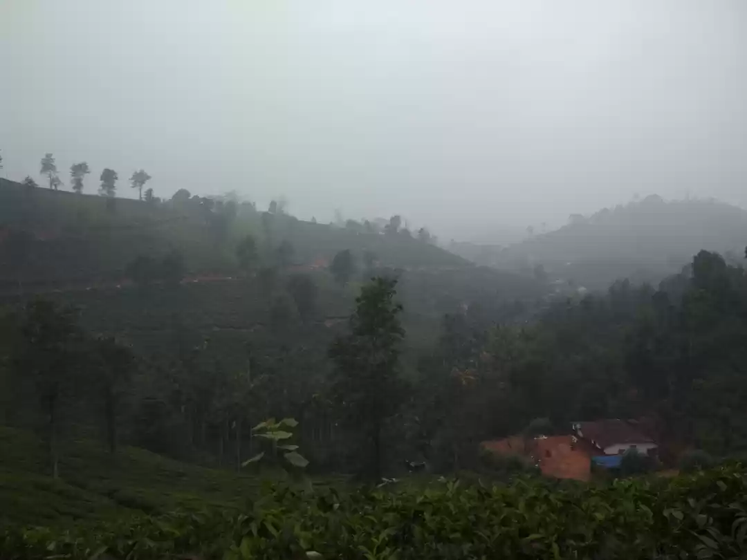 Photo of Trip To Wayanad, Mys