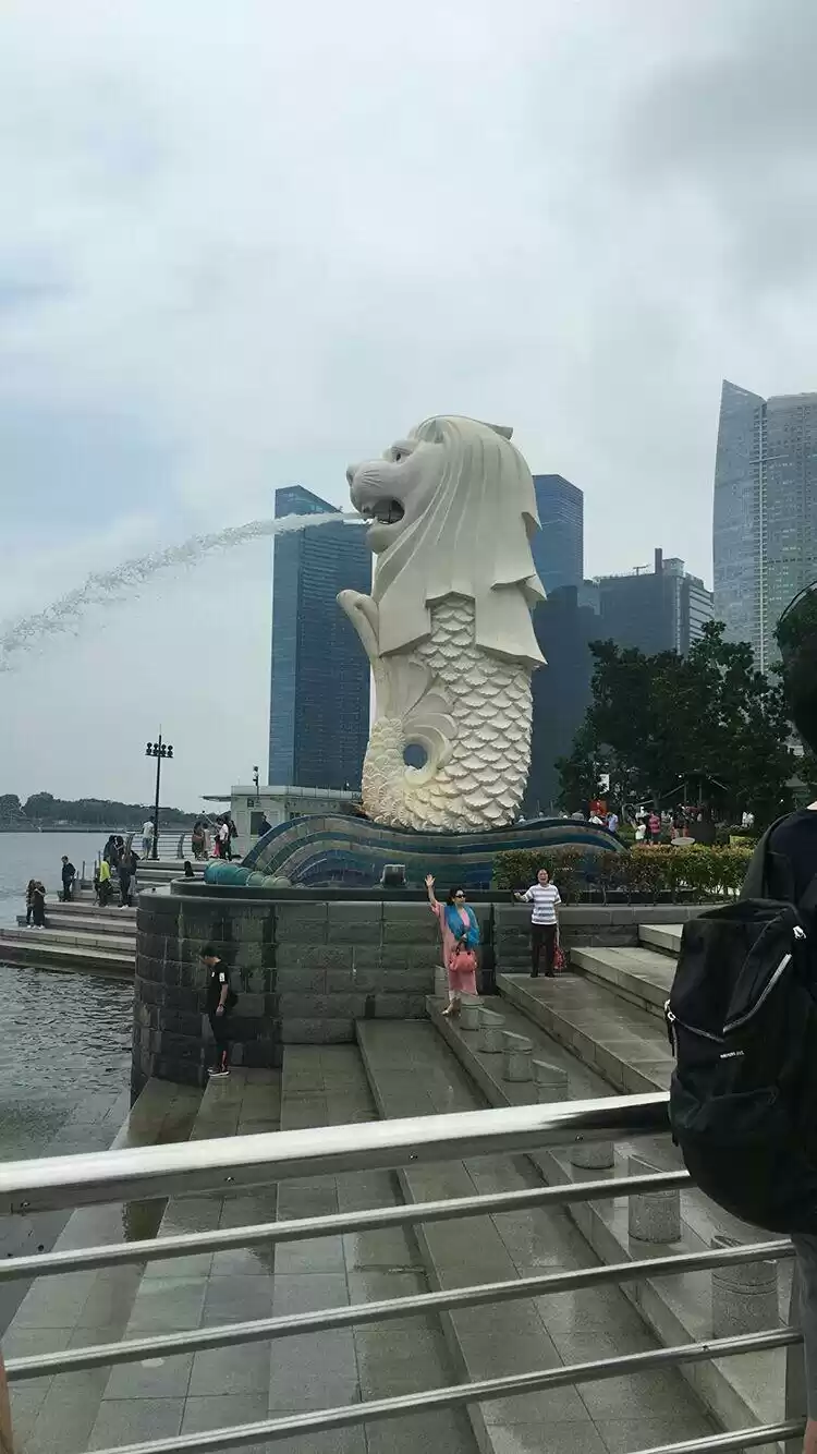 Photo of The crunch of Singap