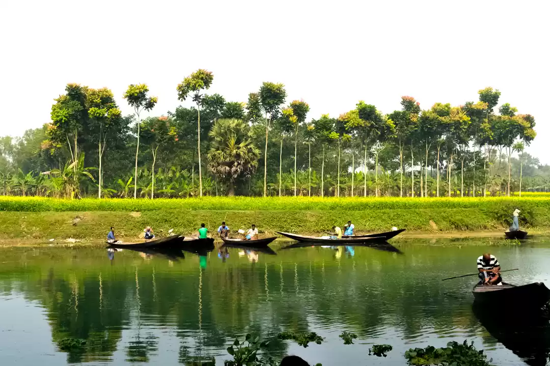 Photo of Parmadan : Offbeat p