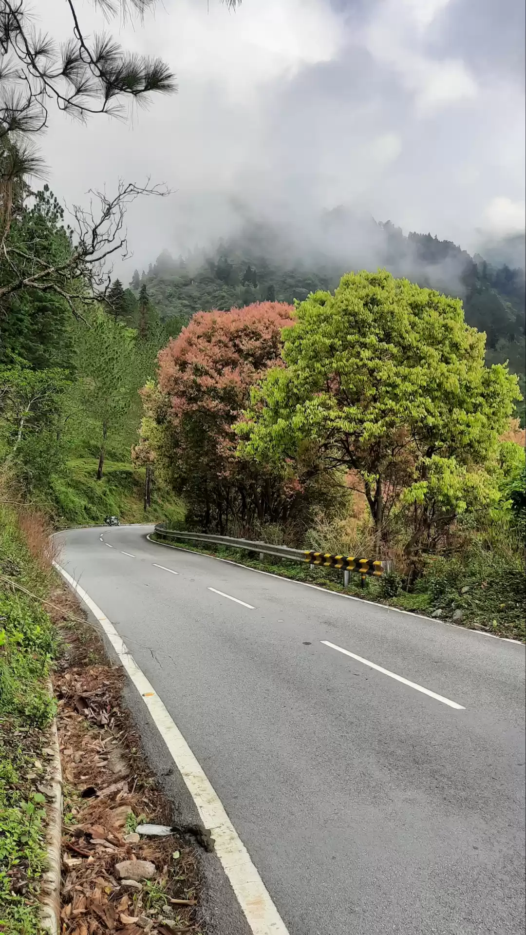 Photo of Exploring bit of Kum