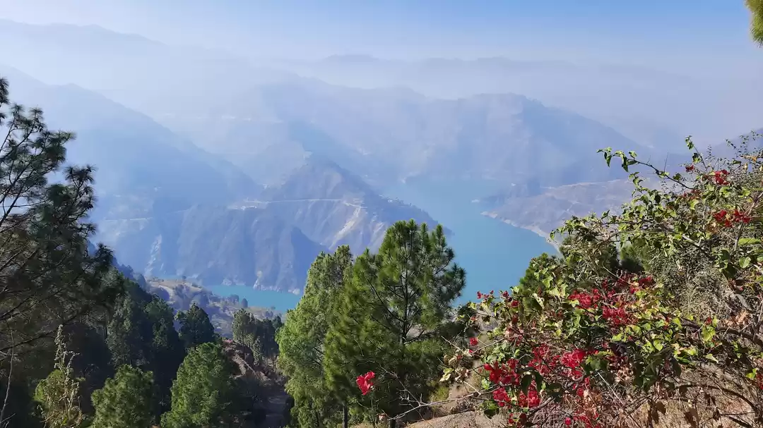 Photo of Taste of Garhwal - P