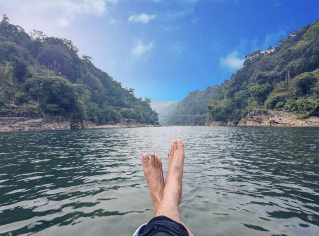 Photo of The Animal Kingdom o