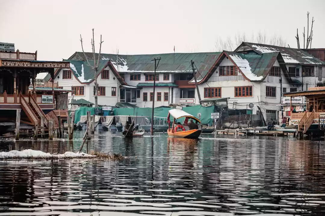 Photo of Why Living Next to D