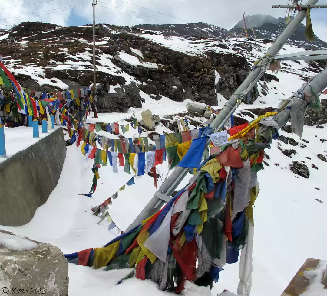 Photo of Journey to the Land 