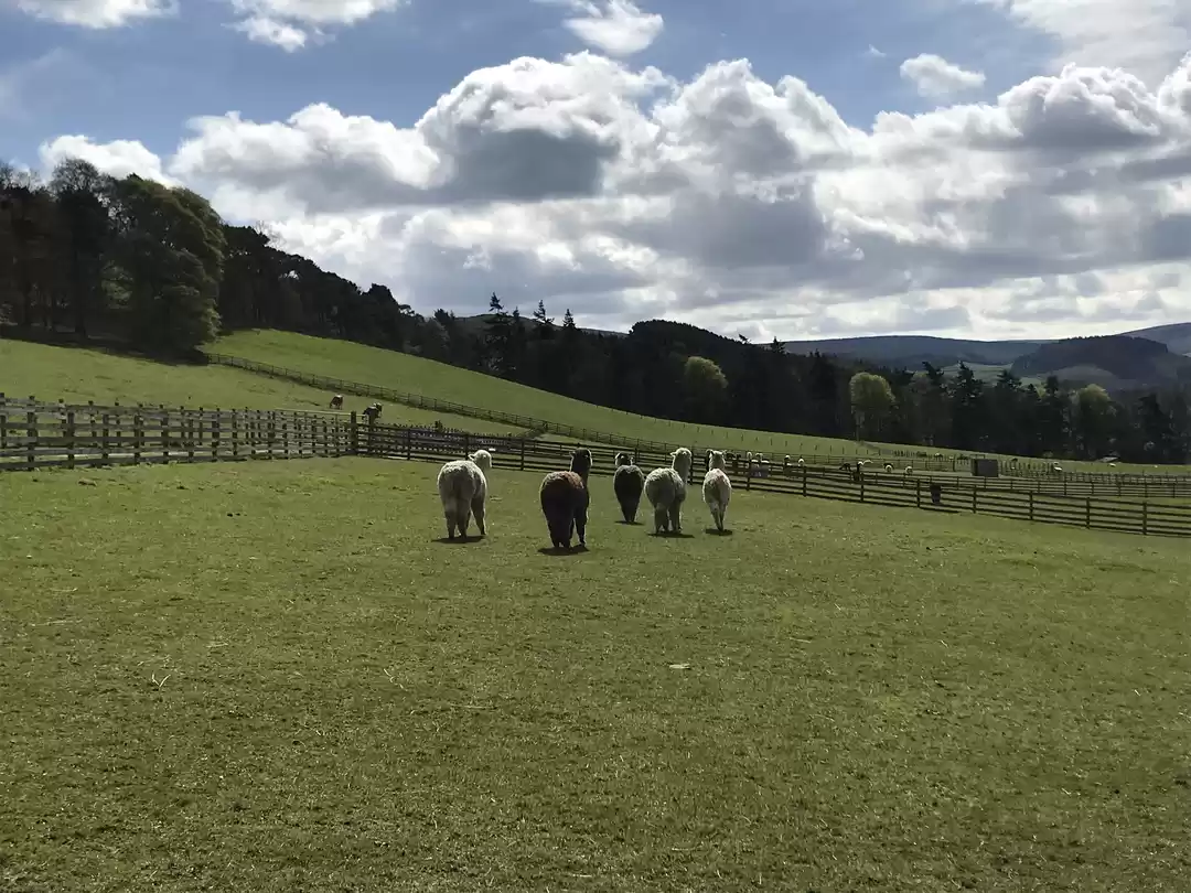 Photo of 7 days in UK & Irela