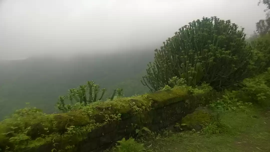 Photo of Trekking in clouds -