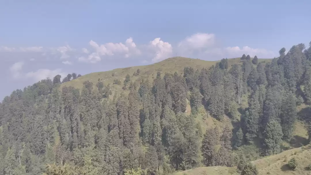 Photo of Unfolding the unusua