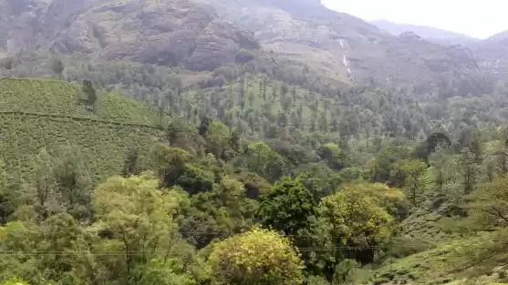 Photo of Why I Travelled Solo