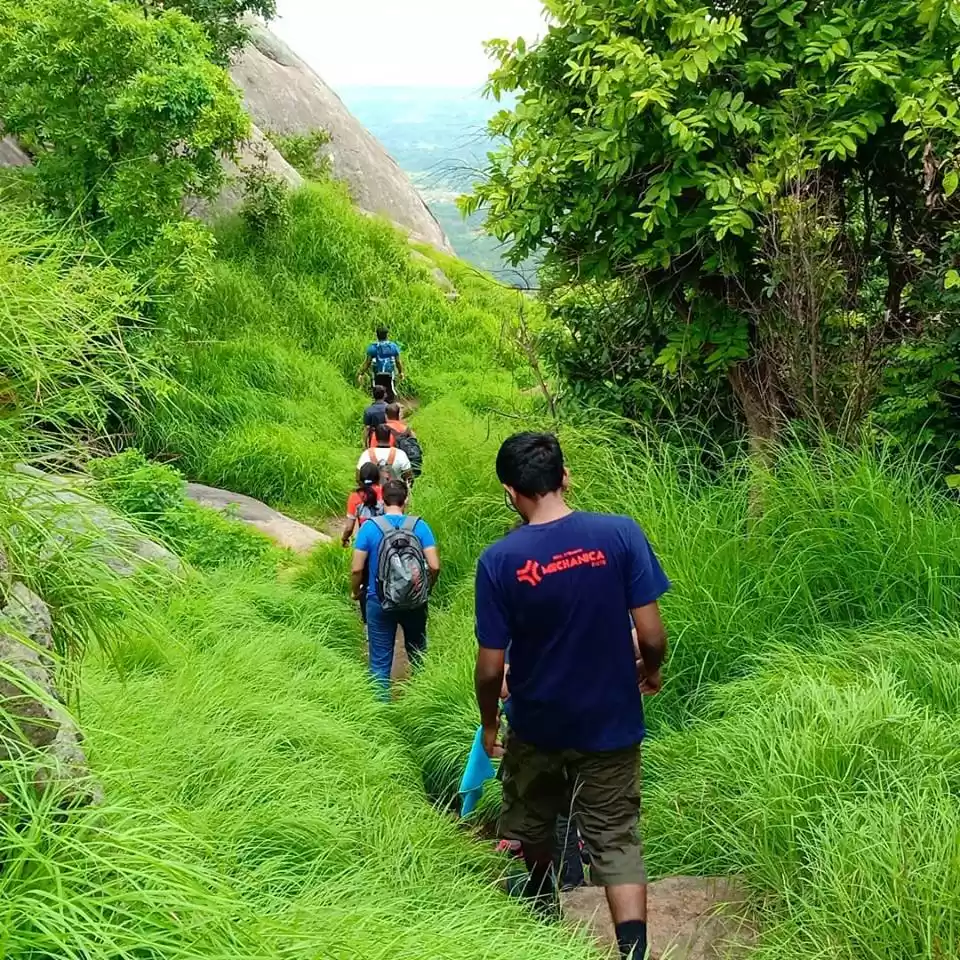 Photo of 10 Amazing One Day T