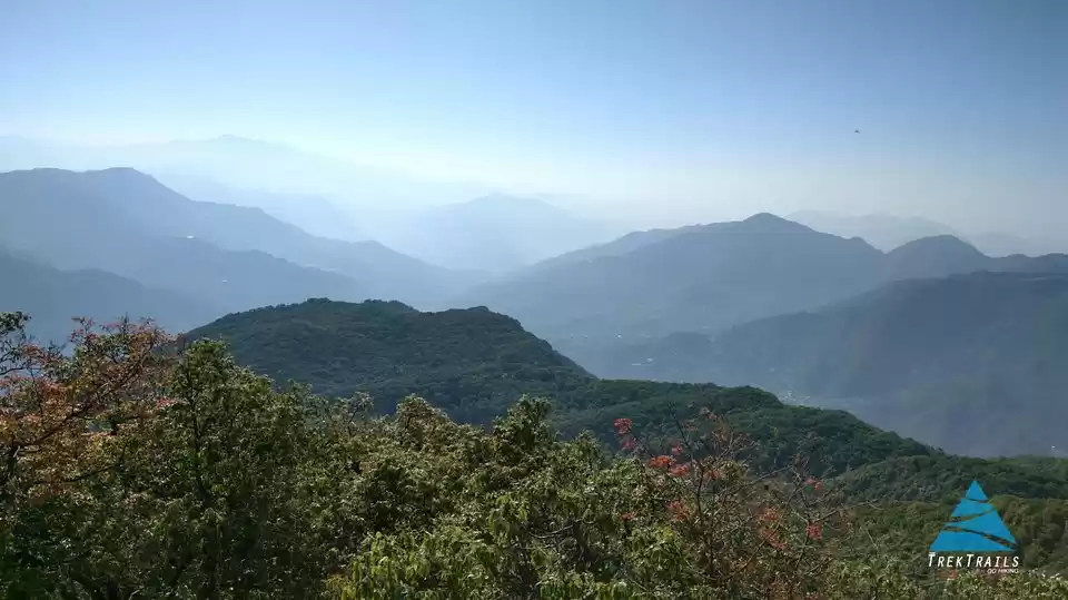 Photo of 6 Reasons to do Karo