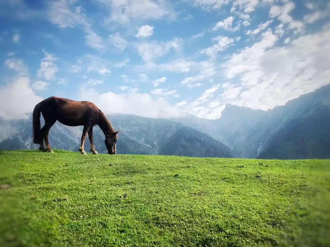 Photo of HOW I BACKPACKED SOL