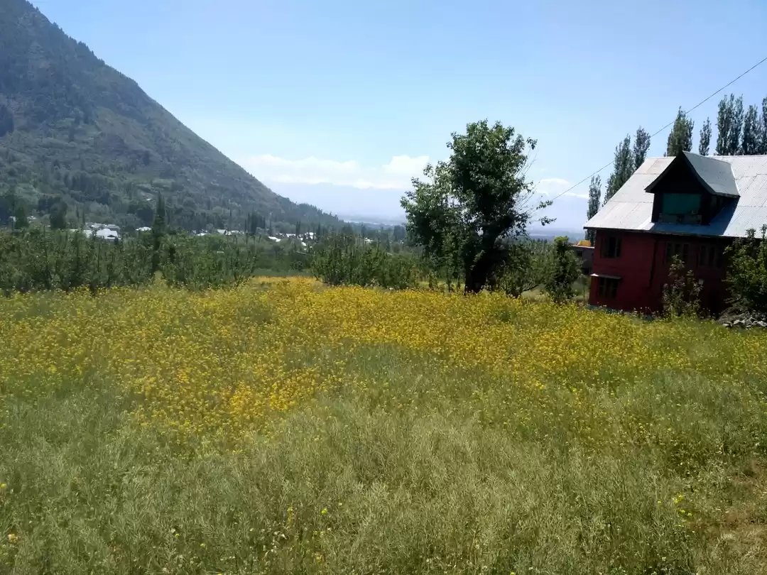 Photo of Kashmir - You will n