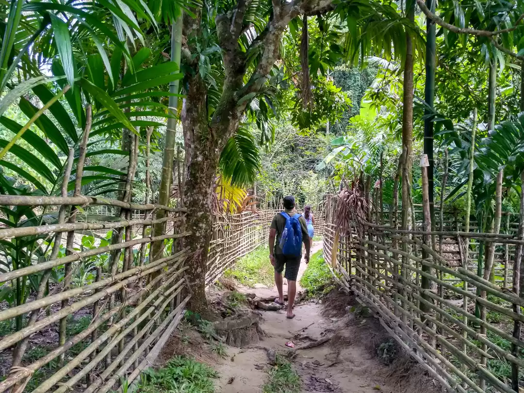 Photo of Do it like the local