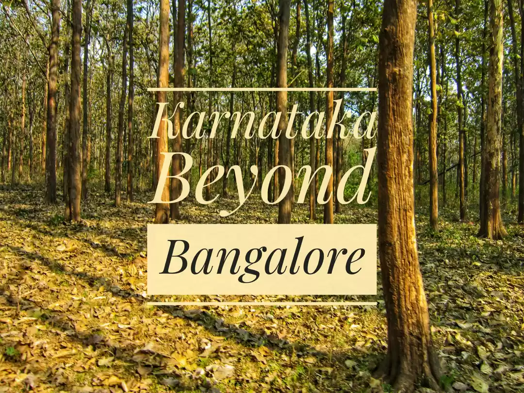 Photo of Karnataka Beyond Ban