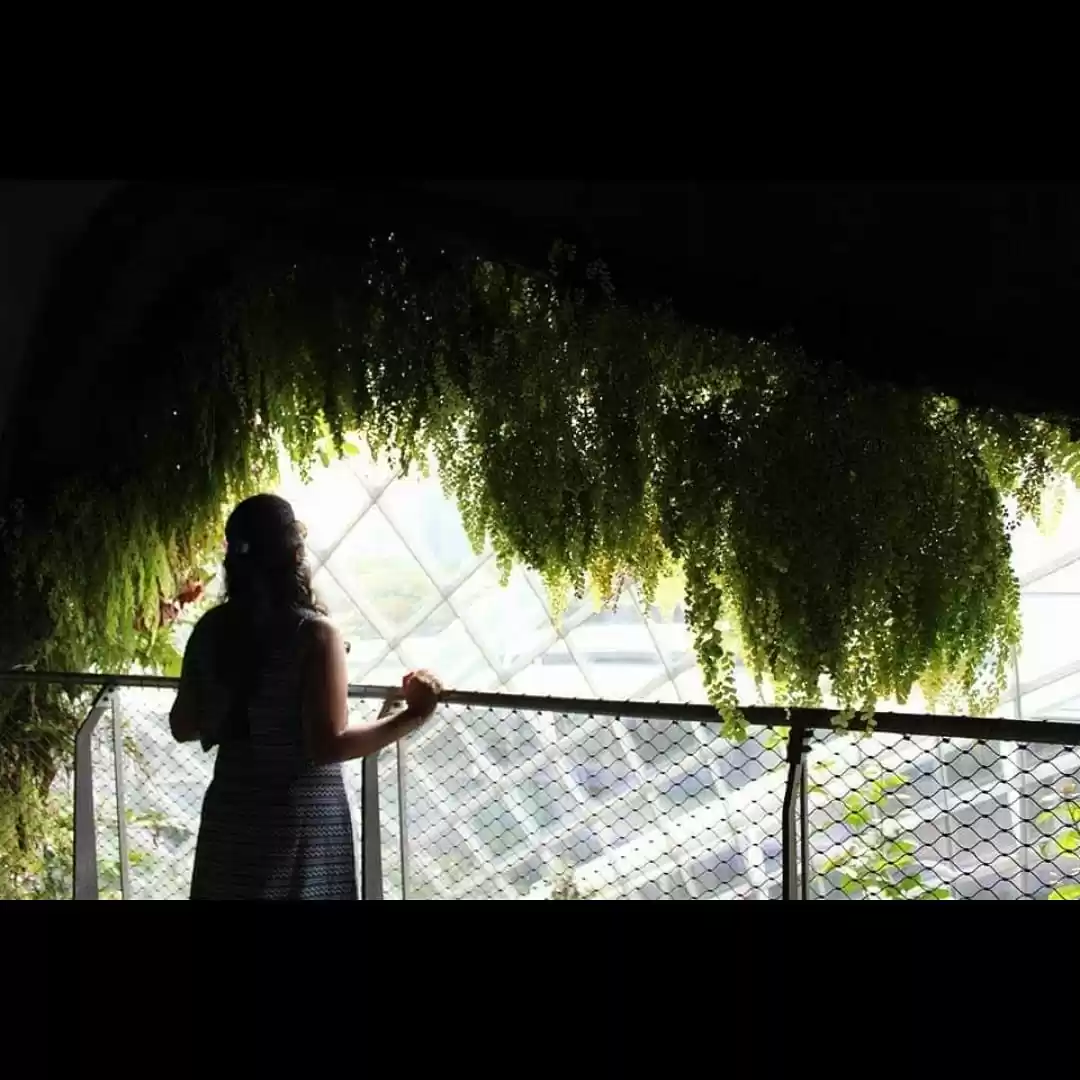 Photo of Anubhuti Gupta