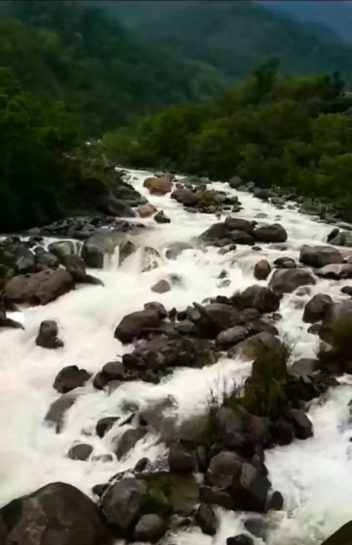 Photo of Rolep- The Untouched