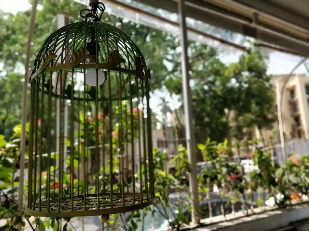 Photo of Juhu's Grandmama's C