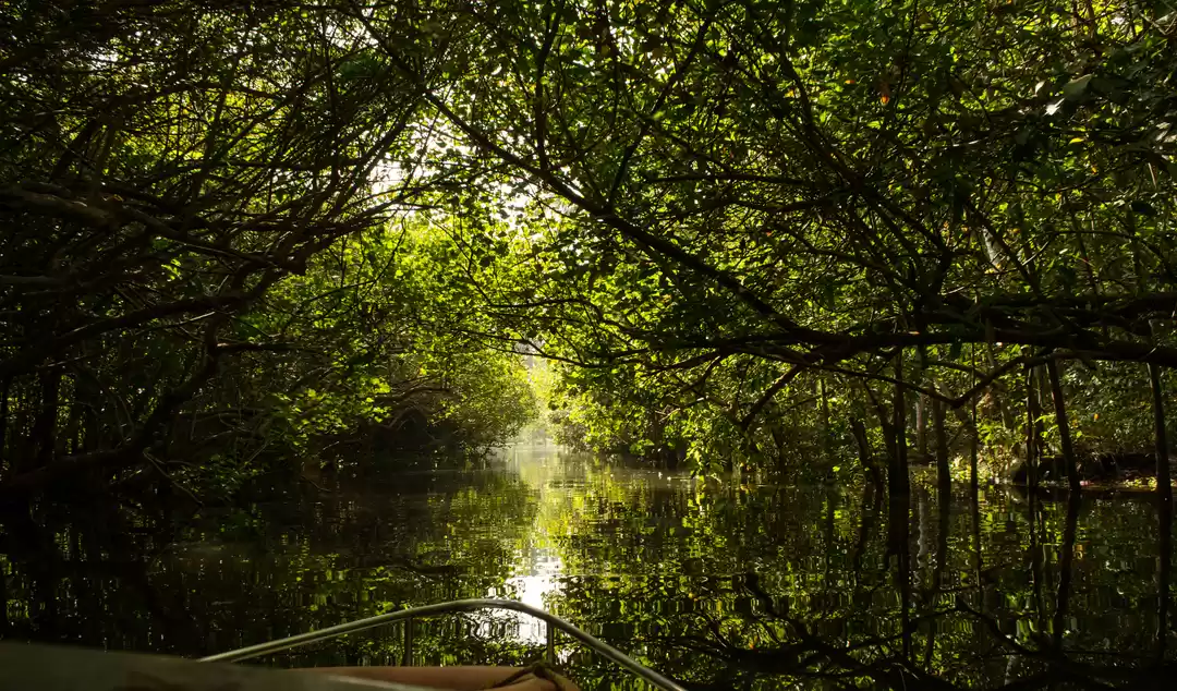 Photo of Heading to Kerela: H