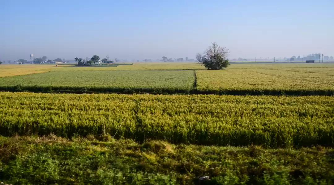 Photo of Divine Amritsar..