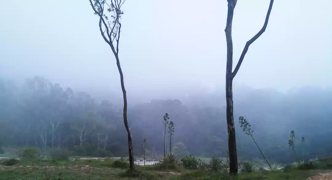 Photo of Road Trip to Nandi H