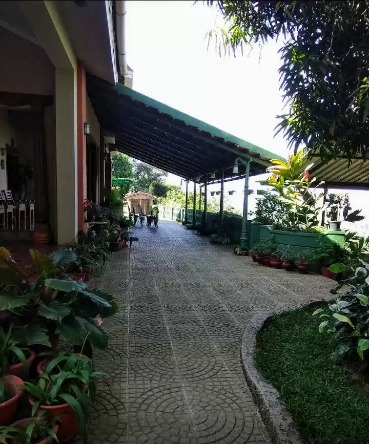 Photo of Far from the Madding