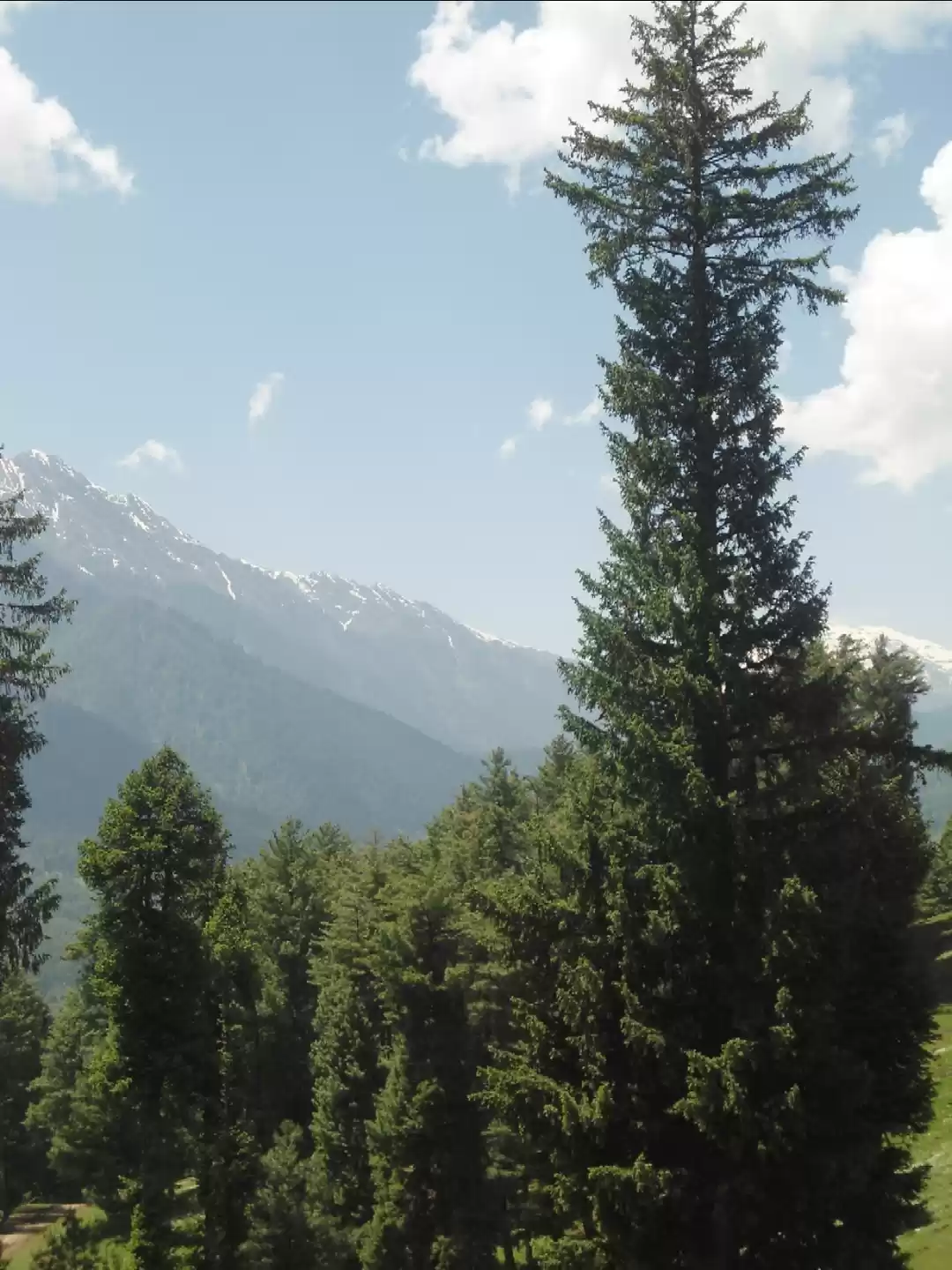 Photo of Jammu and Kashmir- P