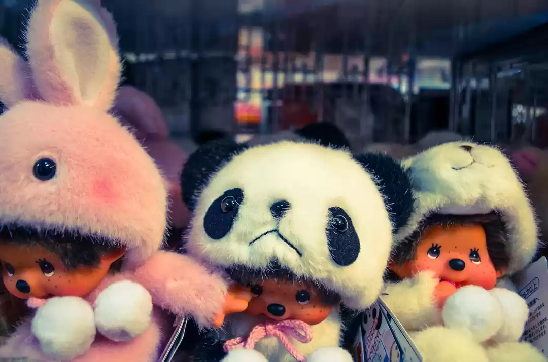 Photo of Japan in Two Weeks: 