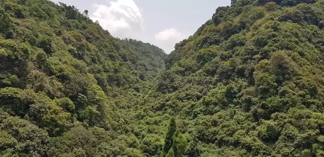 Photo of 7 days in one of 7 S