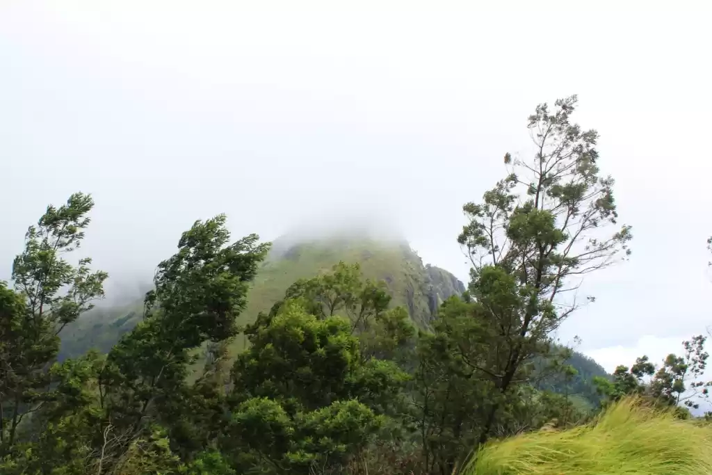 Photo of Munnar in Monsoon #p