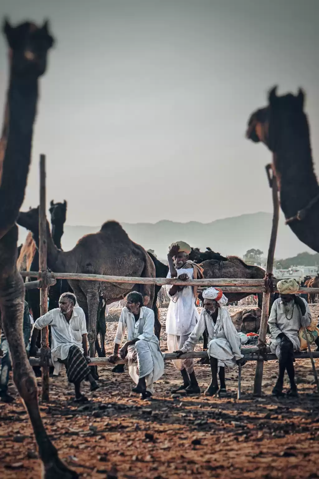 Photo of PUSHKAR: where moder