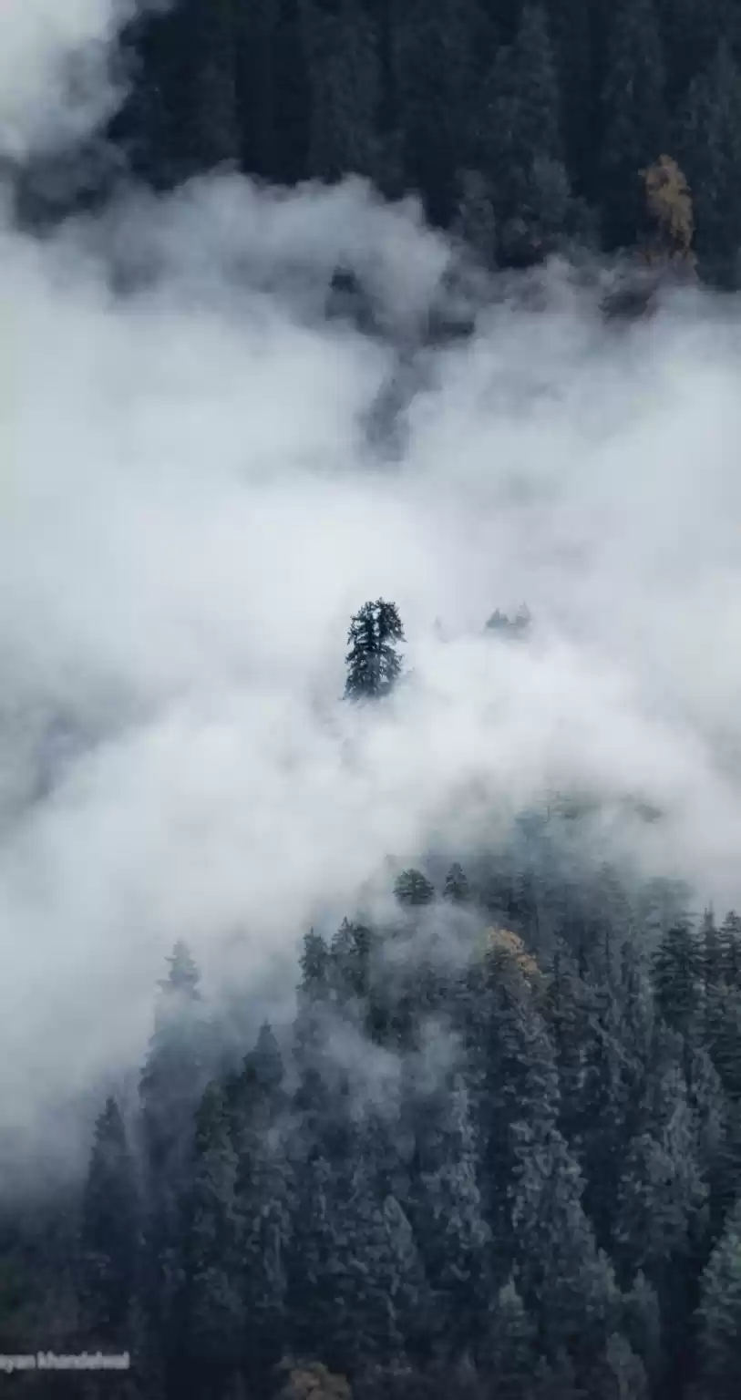 Photo of Clicked in a span of
