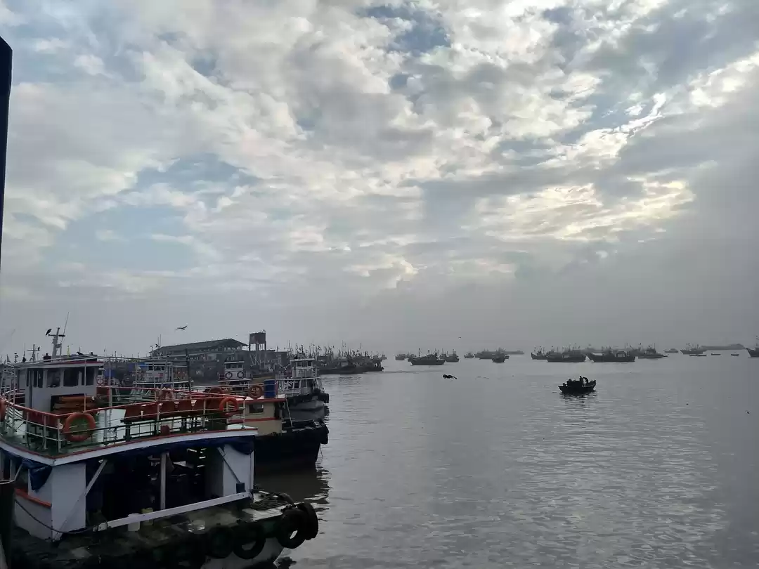 Photo of Mini Coastal - A ref