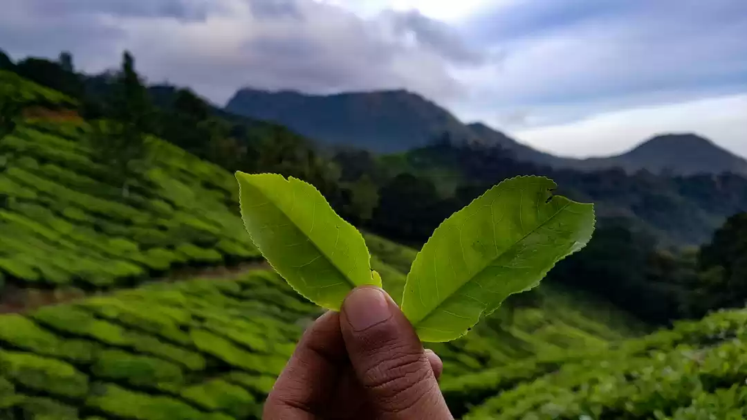 Photo of A newly found friend