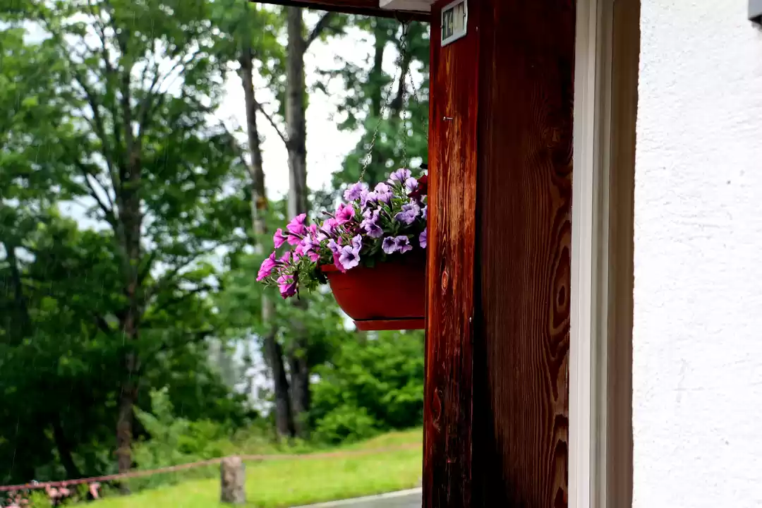 Photo of Swiss countryside: T