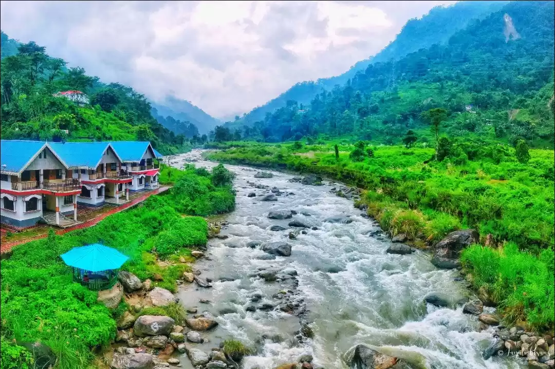 Photo of Happy New Year Bridg