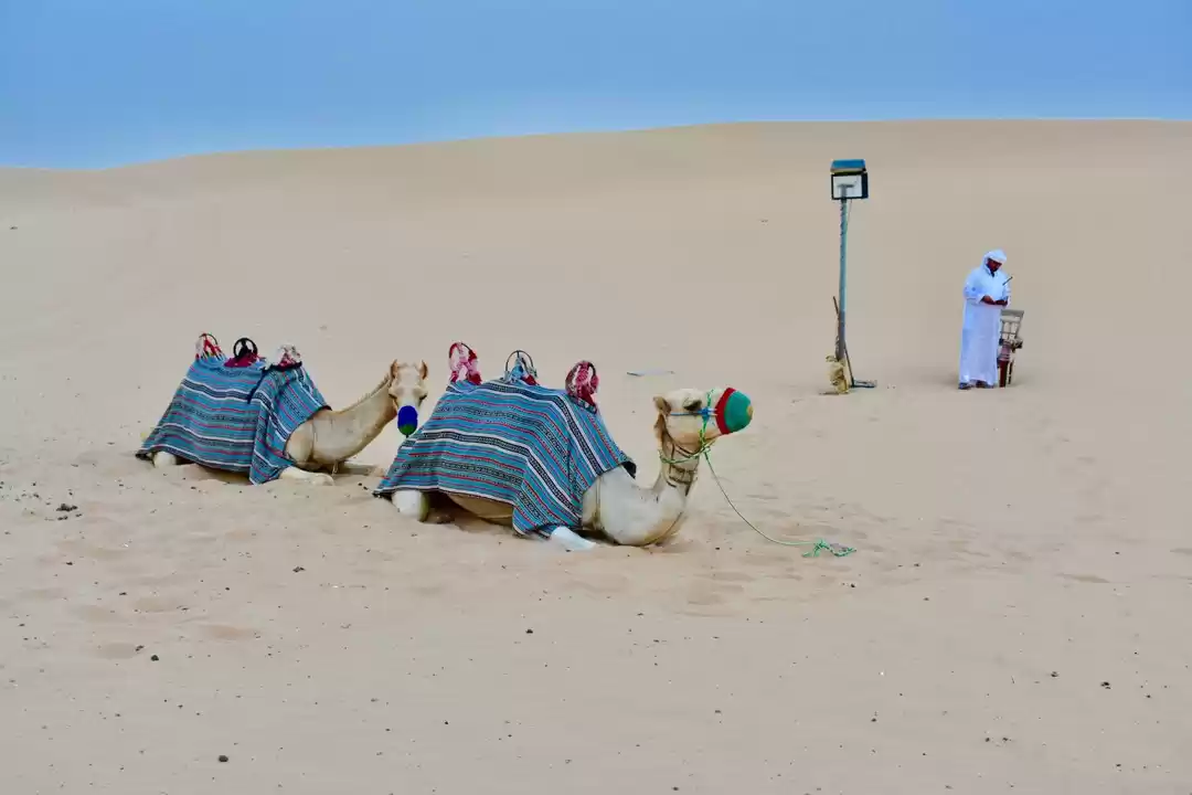 Photo of Dare to do Dubai & A