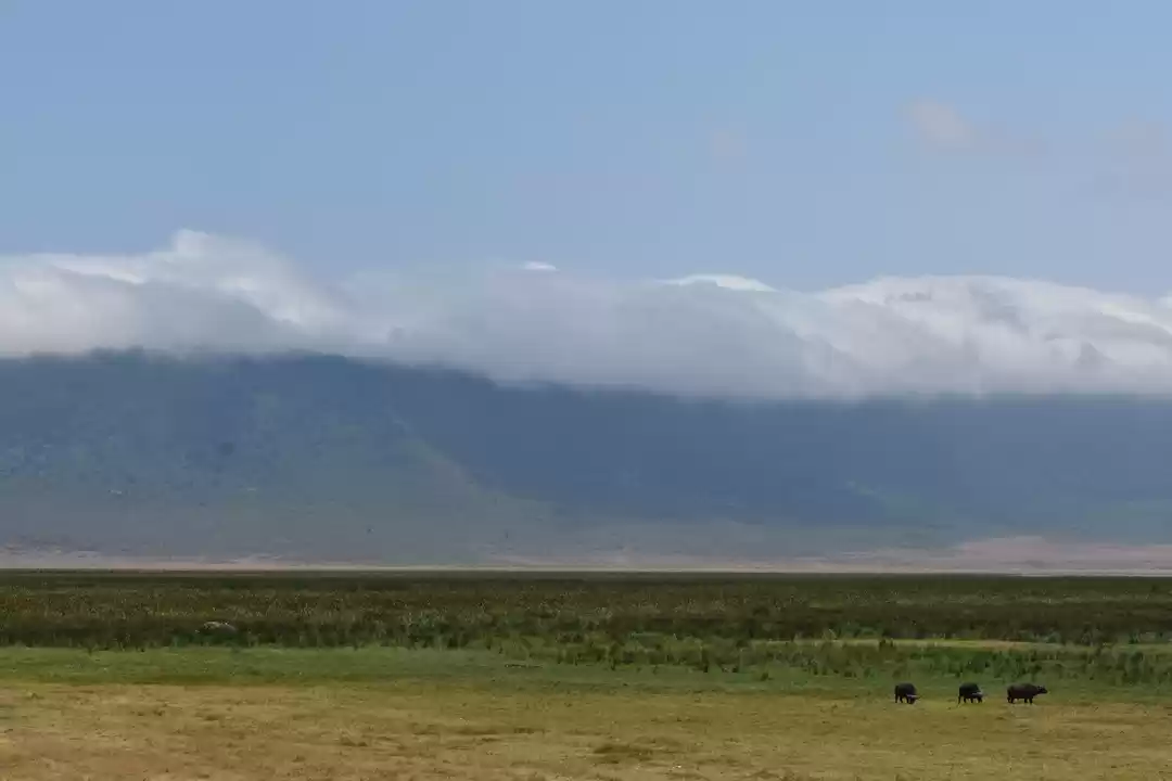 Photo of 5 Things to know bef