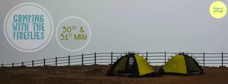 Photo of Camping with the Fir