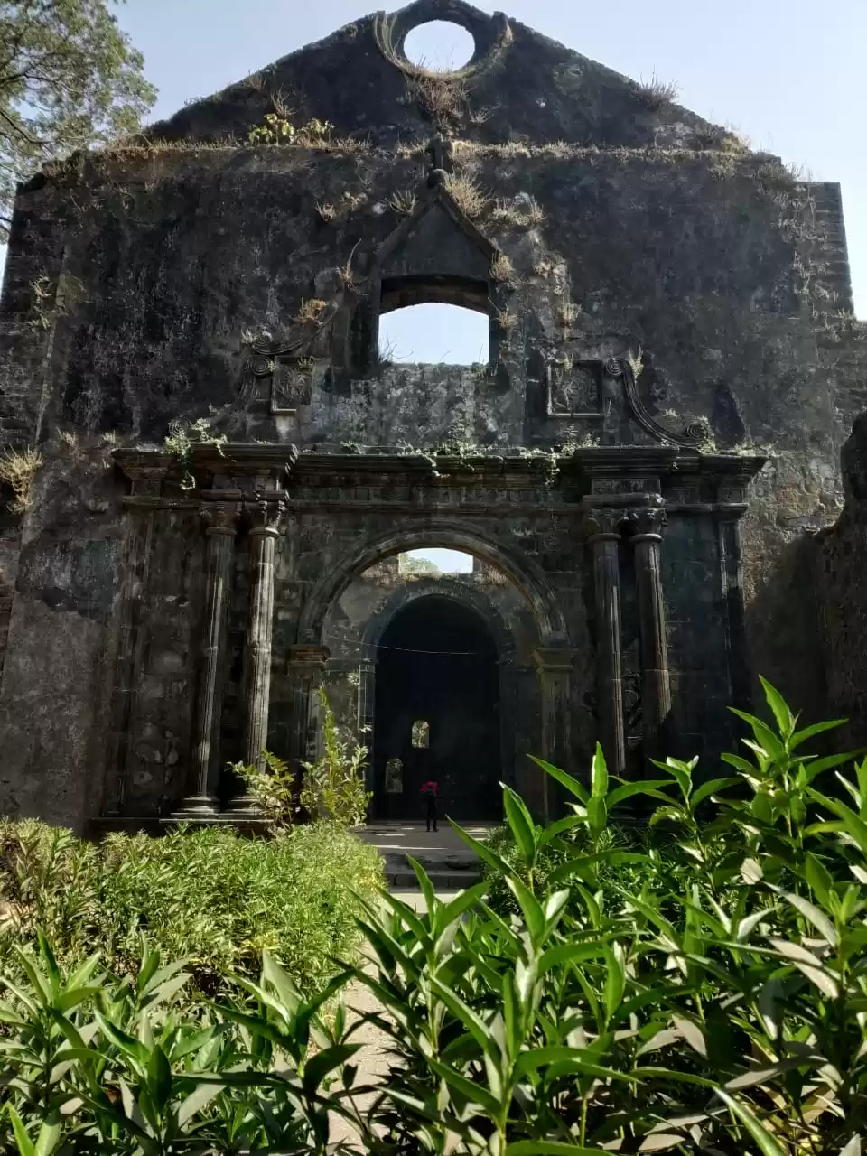 Photo of Vasai Fort: A Treasu