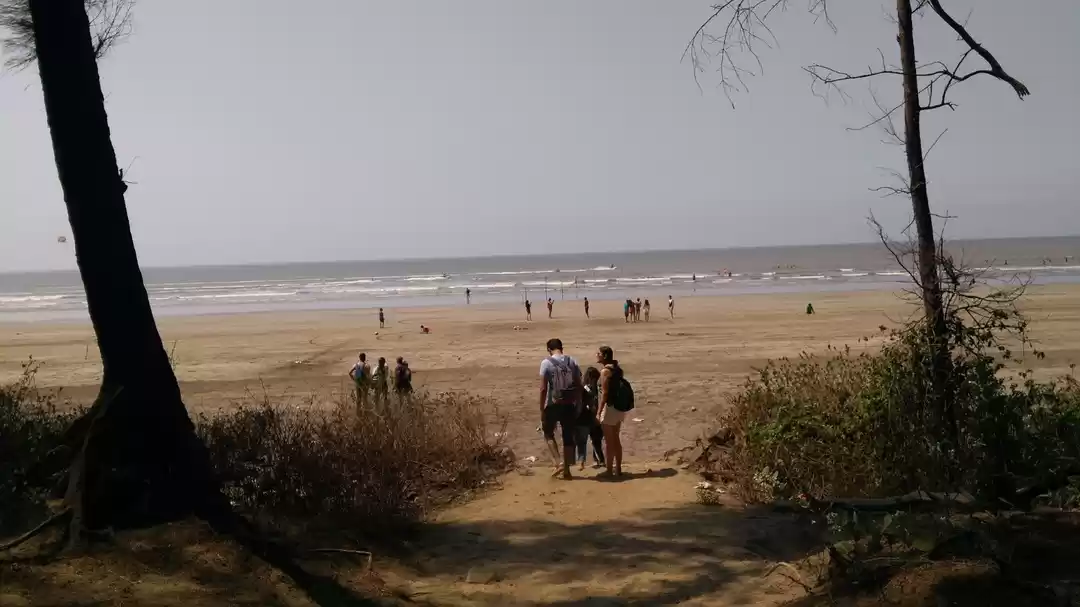 Photo of Alibaug With A Backy