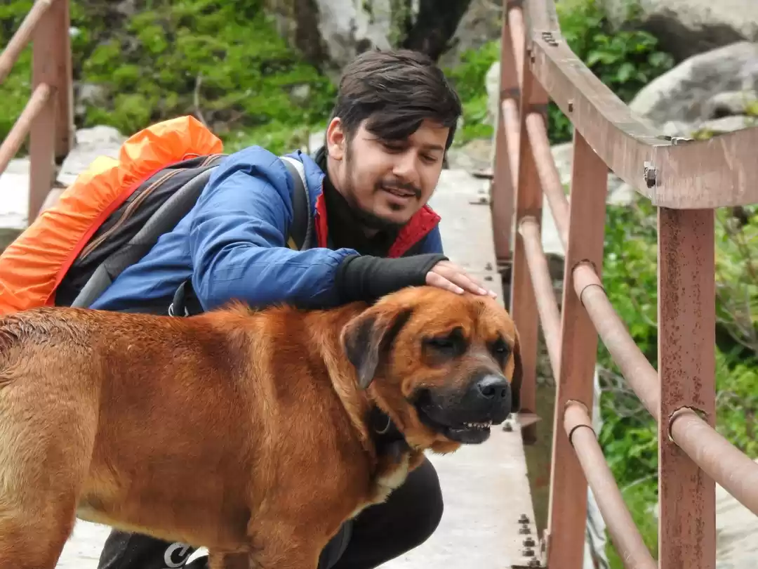 Photo of खीरगंगा ट्रेक के दौर