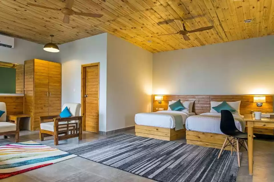 Photo of चाय के बागान, देवदार