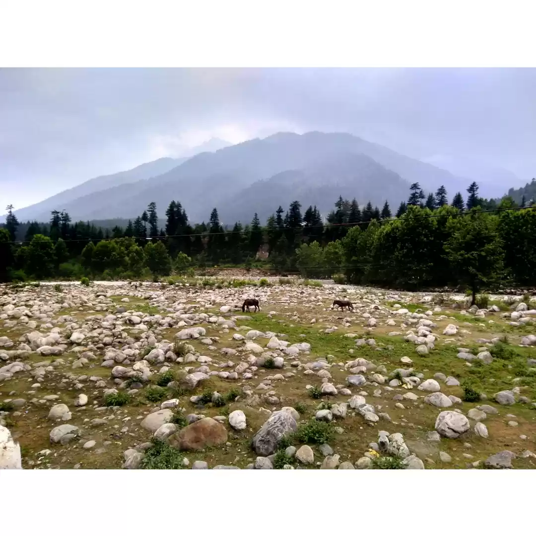 Photo of Himachal wink part 1