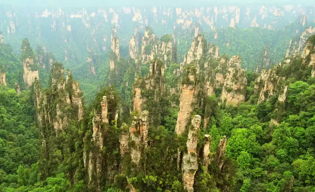 Photo of Manerikar in the Man