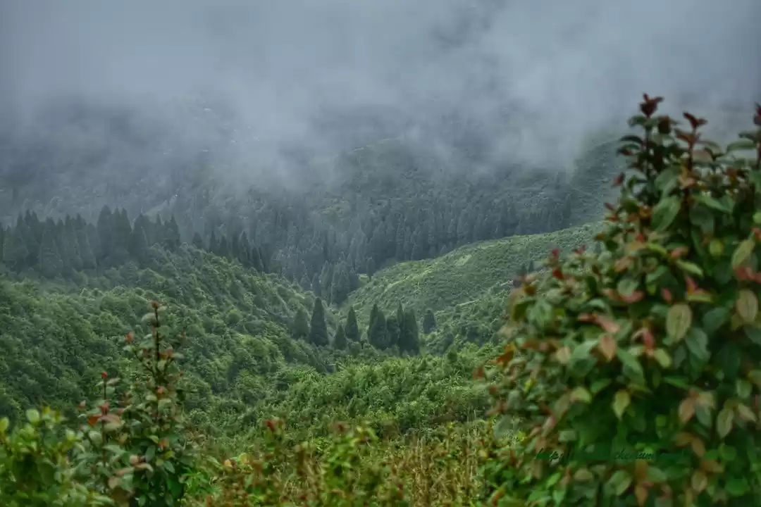Photo of Exploring Darjeelin