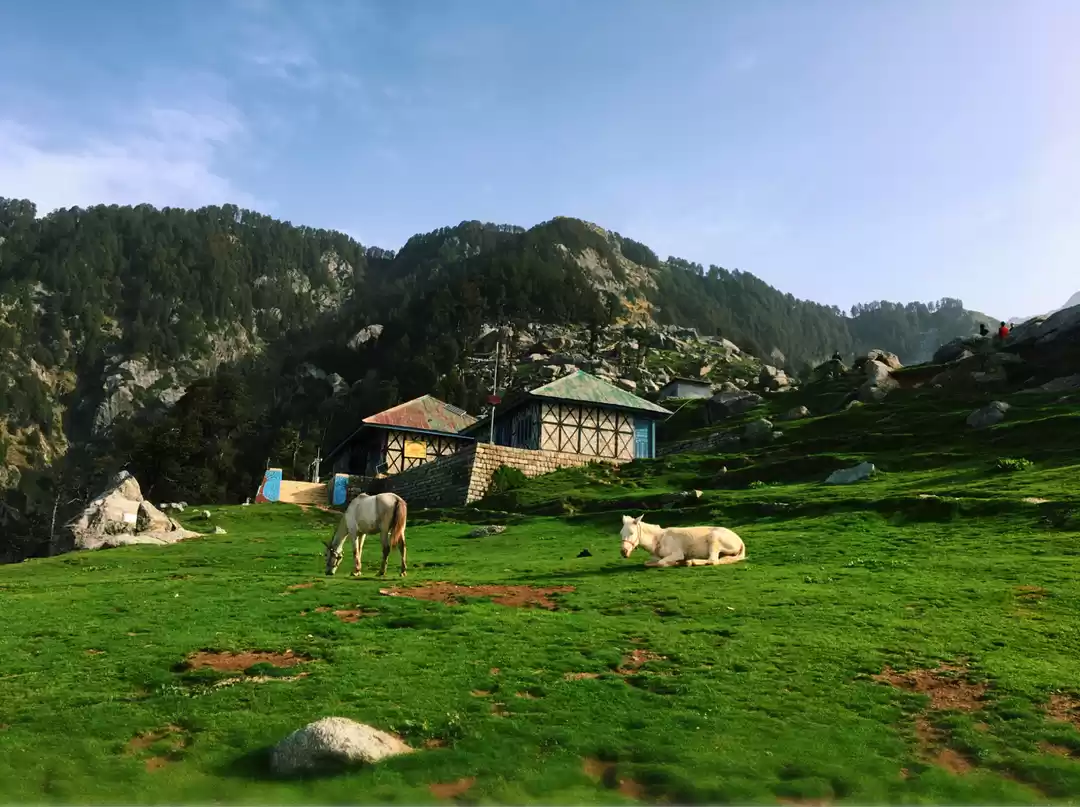 Photo of How To Do Triund In